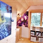 Alpstuga Goralski Stary Mlyn House *