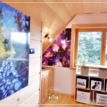 Domek alpejski Góralski Stary Młyn House *